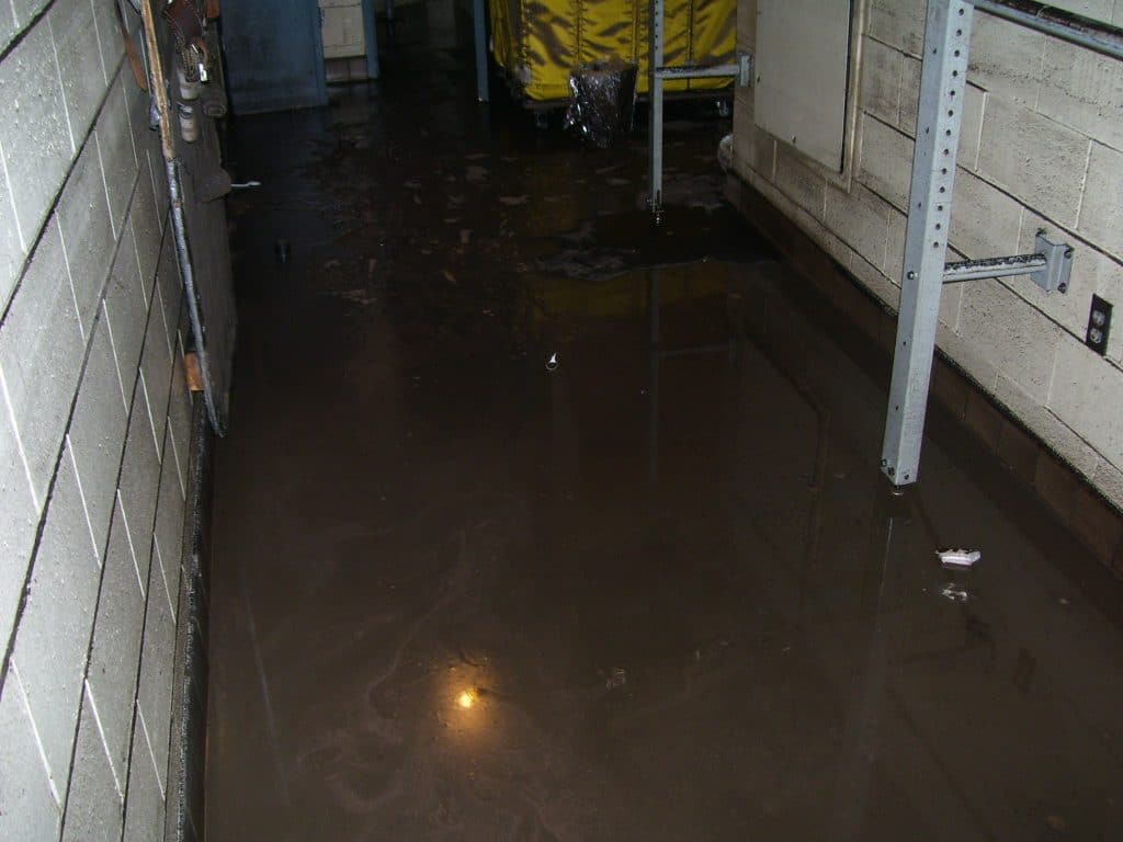 Flood Damage Restoration in Lantana, Texas (8387)