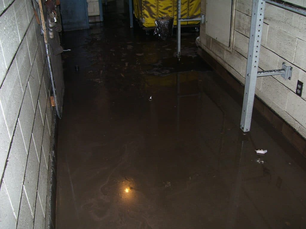 Sewage Cleanup in Hayward, California (5548)