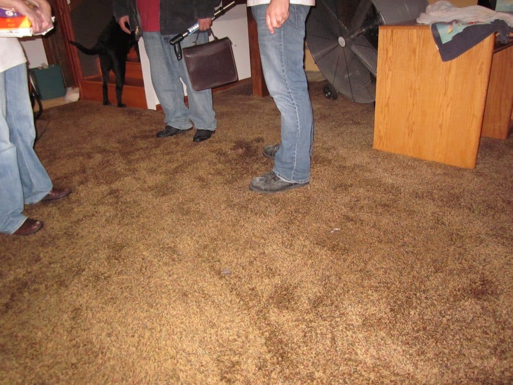 Sewage Damage Restoration in Kennedy, California (864)