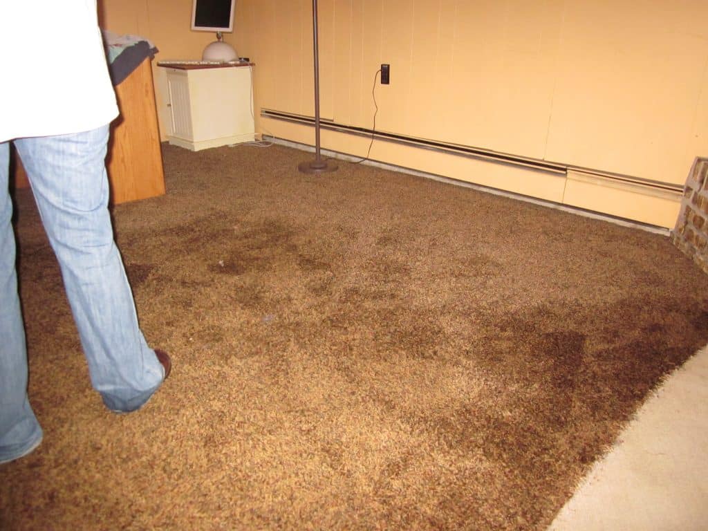 Sewage Damage Restoration in Contra Costa Centre, California (4676)