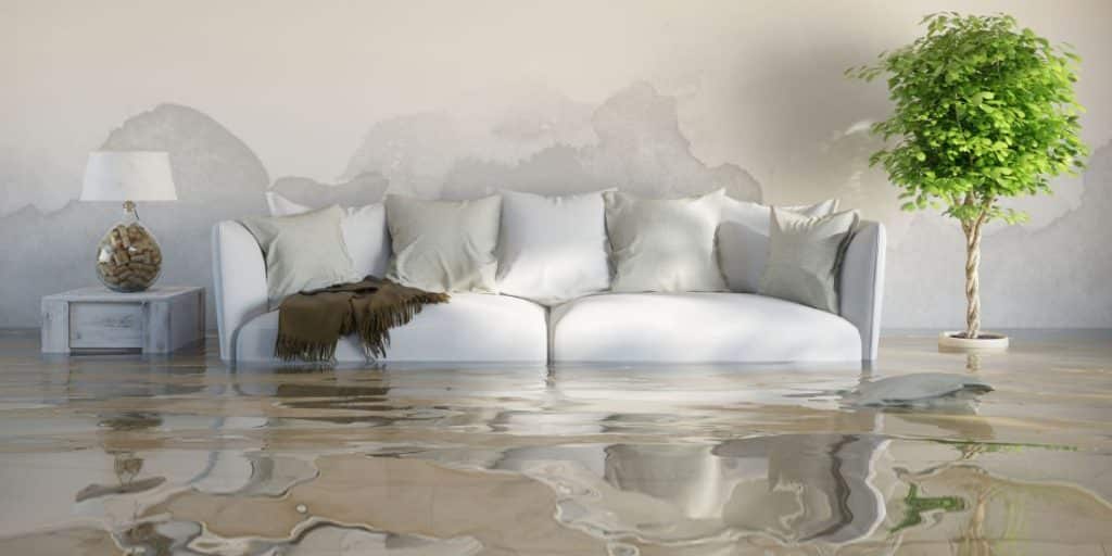 Water Damage Restoration in Vallejo, California (9738)