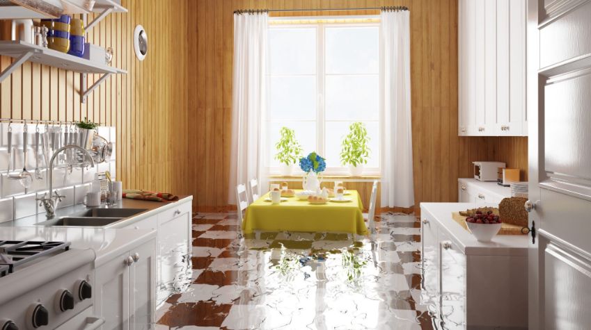 Water Damage Removal in Colma, California (2936)