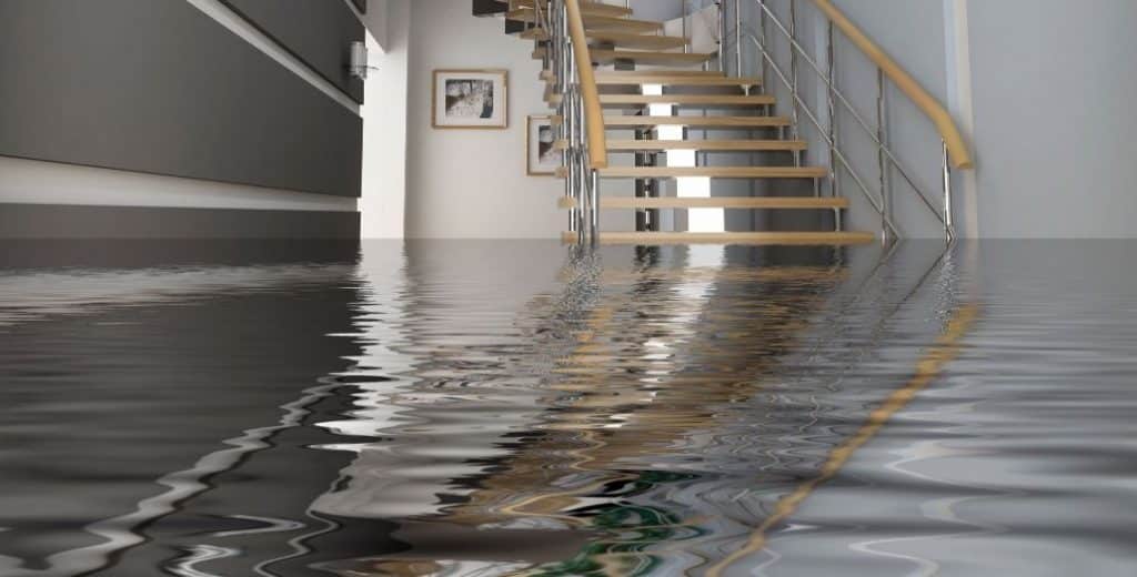 Storm Damage Cleanup in Campbell, California (6492)