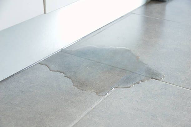 Water Damage Cleaning in Pantego, Texas (8413)